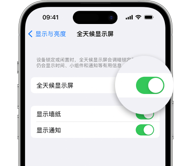 邢台苹果15预约维修分享iPhone15如何设置全天候显示屏幕可见 